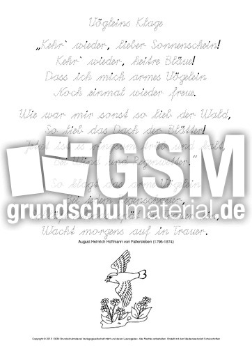 Vögleins-Klage-Fallersleben-SAS.pdf